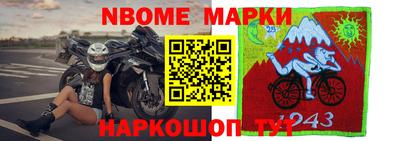 шишки Новодвинск