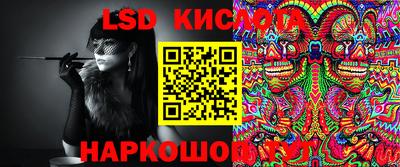 шишки Новодвинск