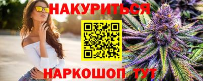 шишки Новодвинск