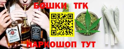 шишки Новодвинск