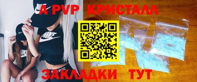 шишки Новодвинск